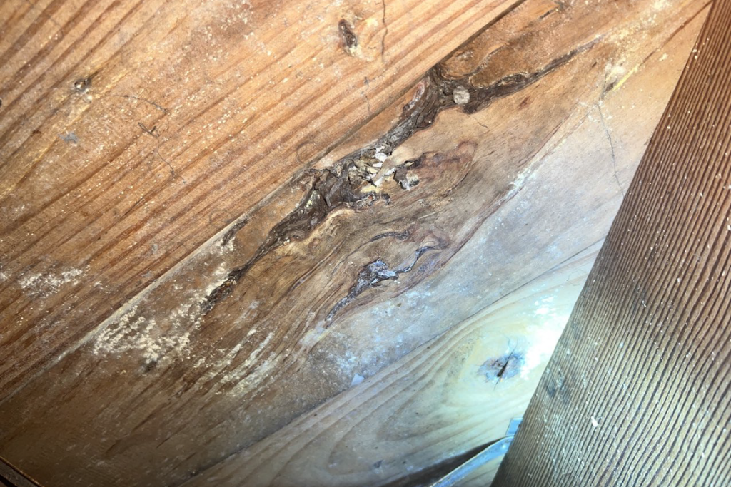 before shrewsbury, nj crawlspace services