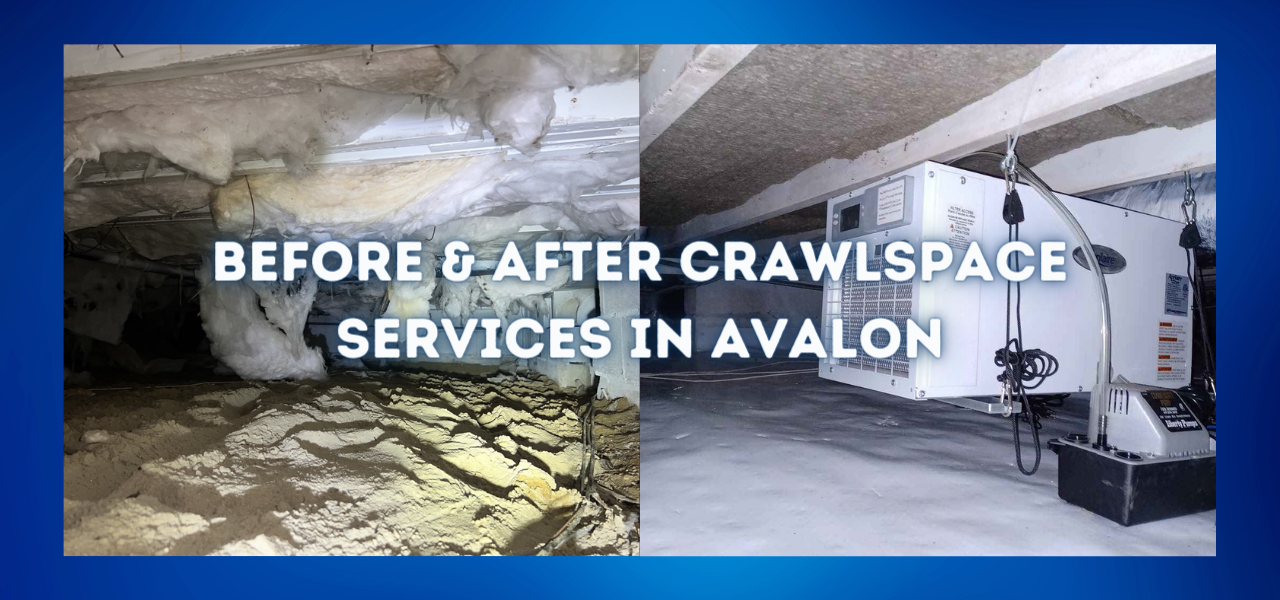 before and after crawlspace services in avalon, new jersey