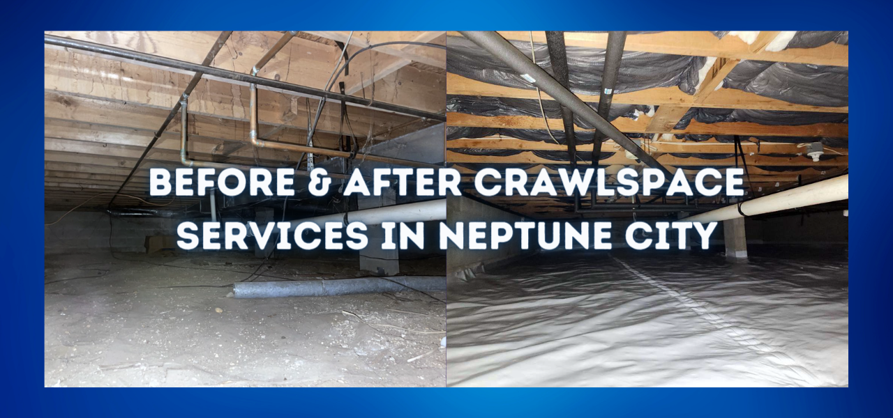 before and after crawlspace services in neptune city, new jersey