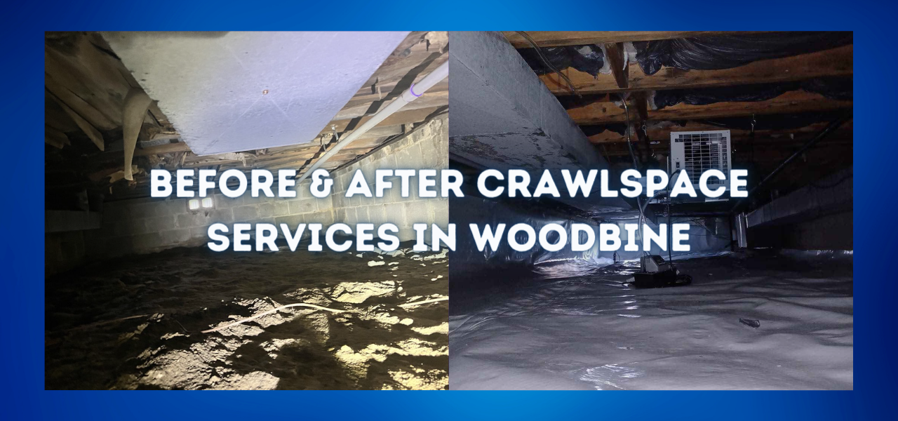 before and after crawlspace services in woodbine, new jersey