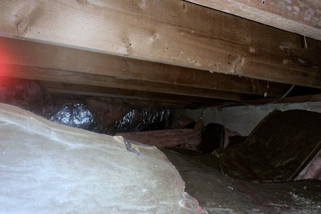 before annandale crawlspace services