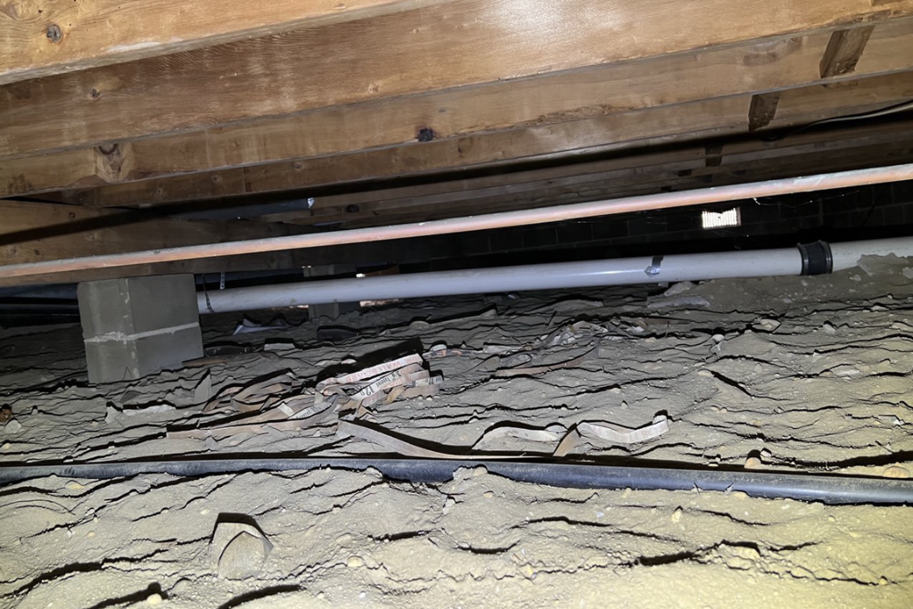 before crawlspace services in toms river, new jersey