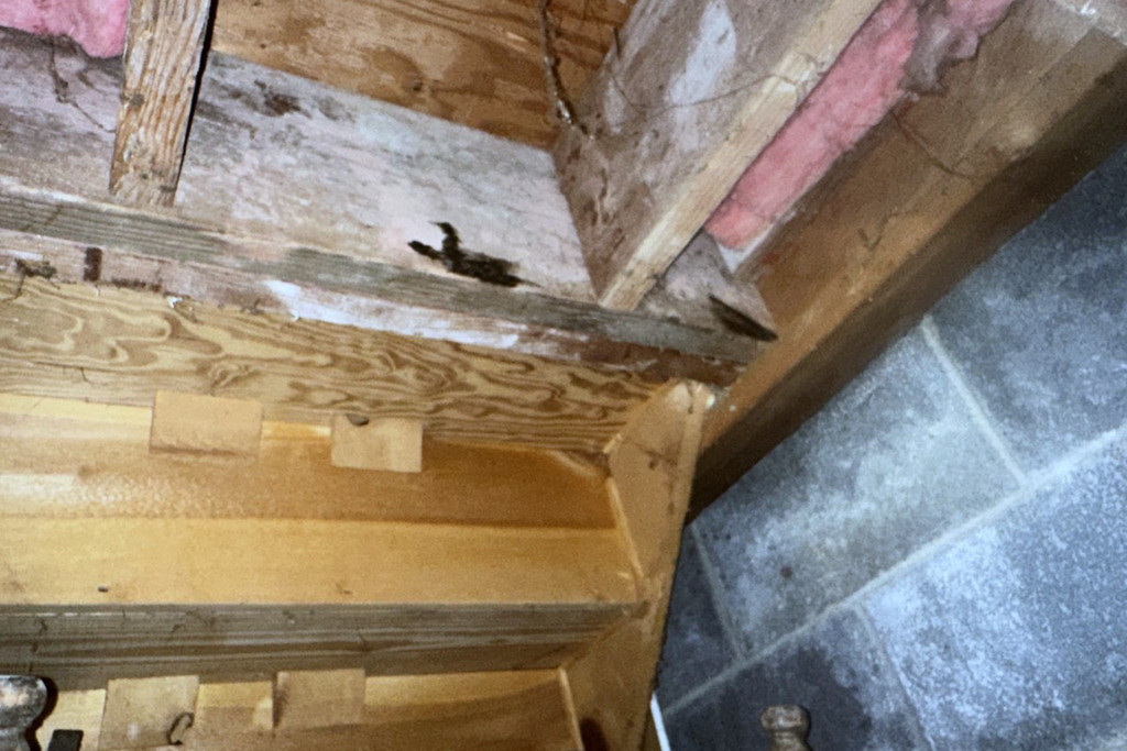 before annandale crawlspace services