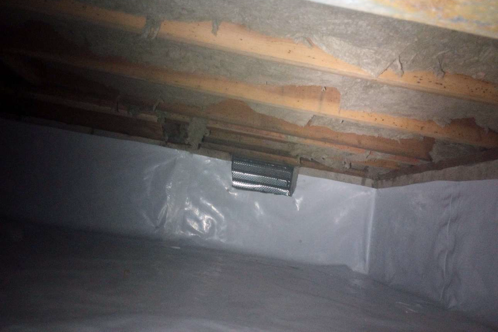 after annandale crawlspace services