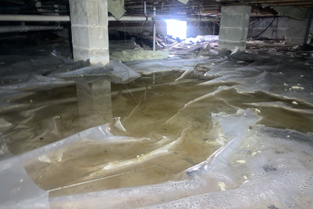 before lacey township crawlspace services