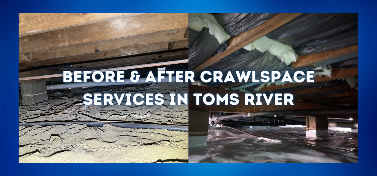 before and after crawlspace services in toms river, new jersey