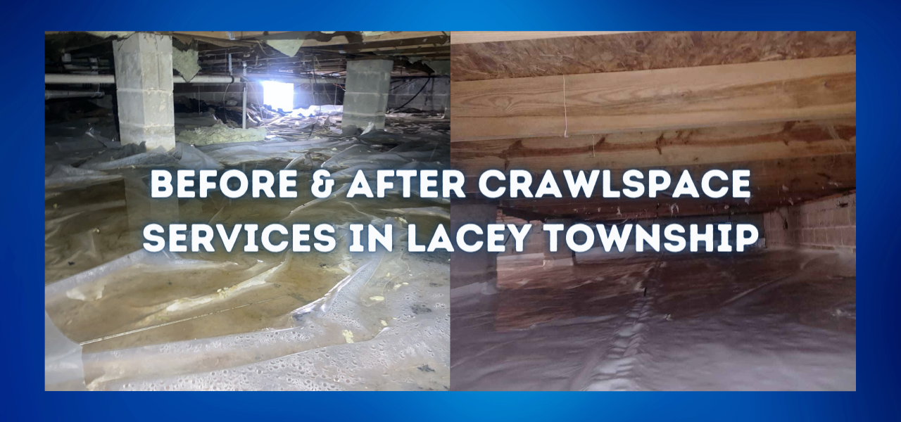 before and after lacey township crawlspace services