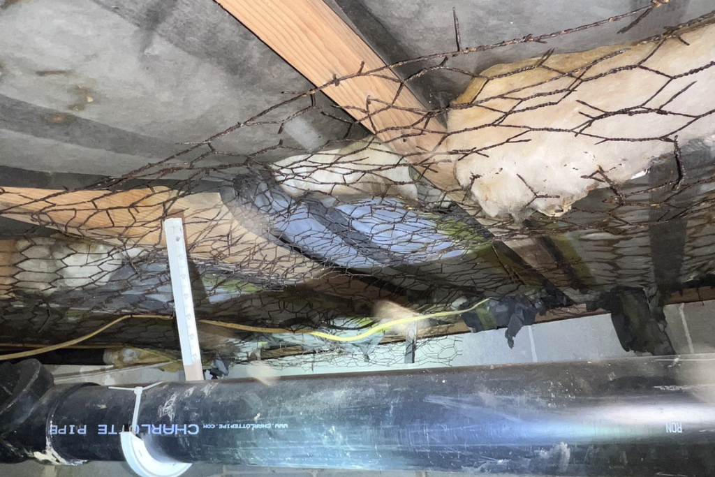 before wildwood crest, nj crawlspace services