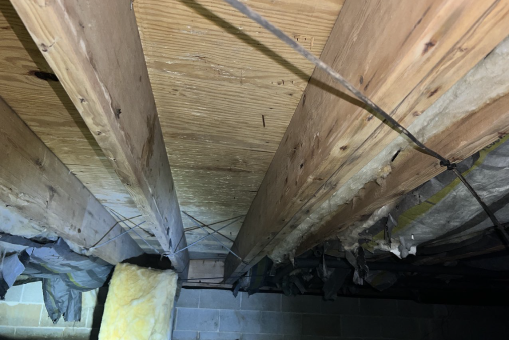 before wildwood crest, nj crawlspace services