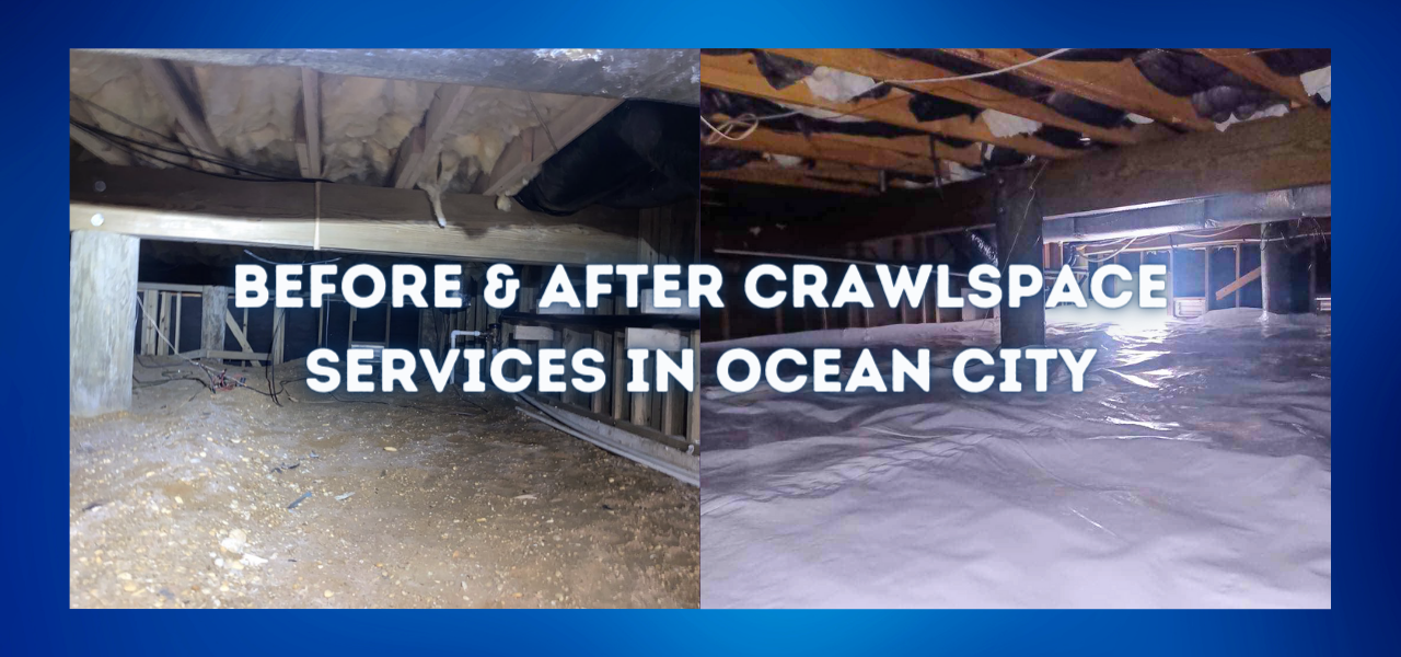 before and after crawlspace services in ocean city, new jersey