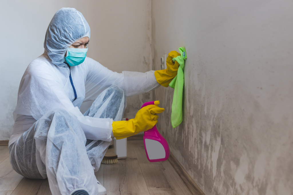 woman attempting diy crawlspace repairs by cleaning mold off of a wall with household cleaners