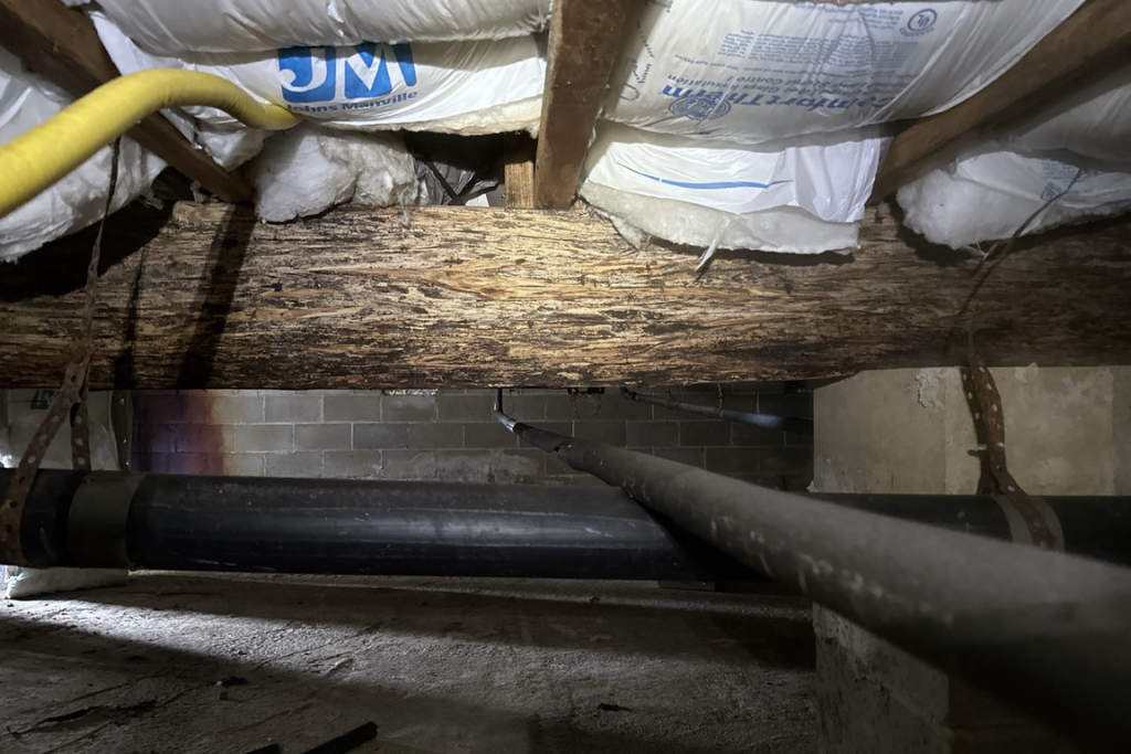 before tuckerton new jersey crawlspace services