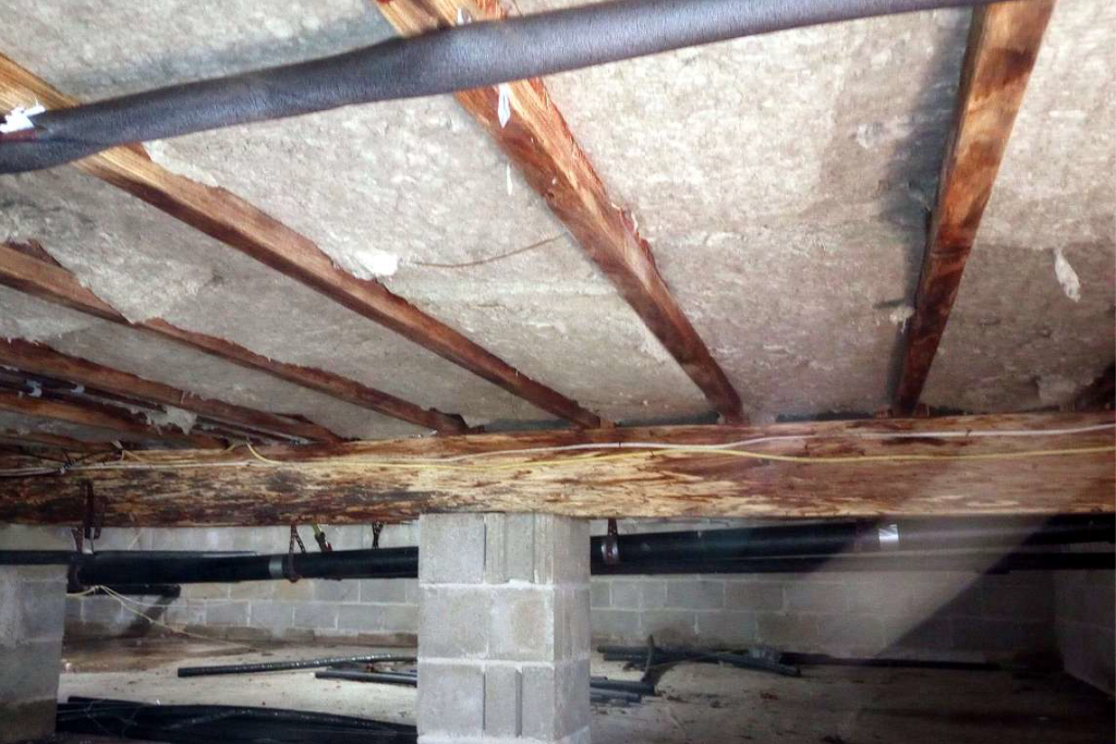 after tuckerton new jersey crawlspace services