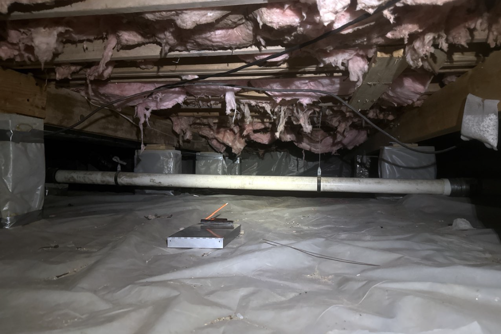 before cape may court house crawlspace services