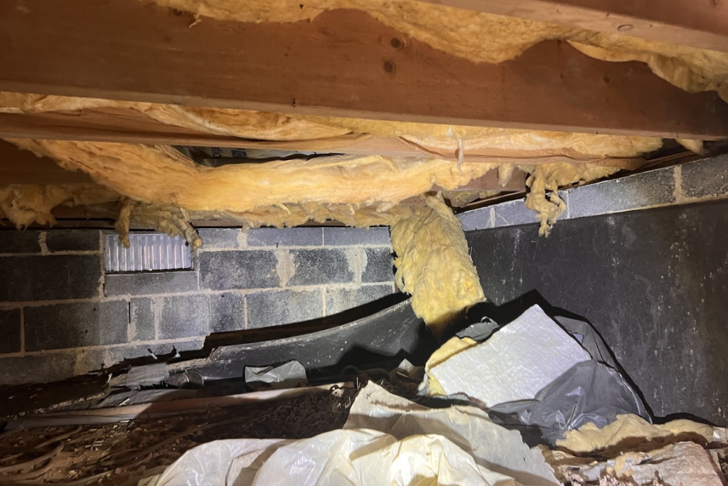 before linwood new jersey crawlspace services