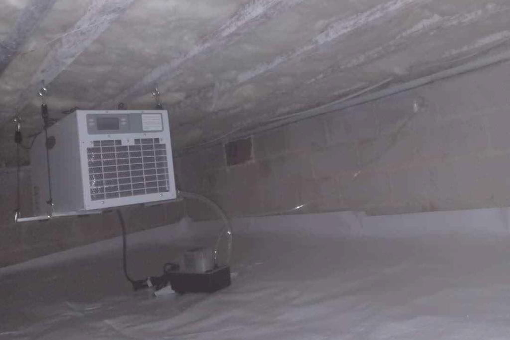 after cape may court house crawlspace services