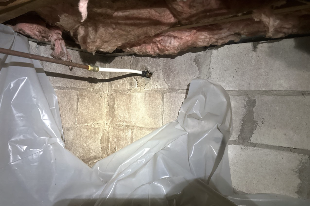 before cape may court house crawlspace services