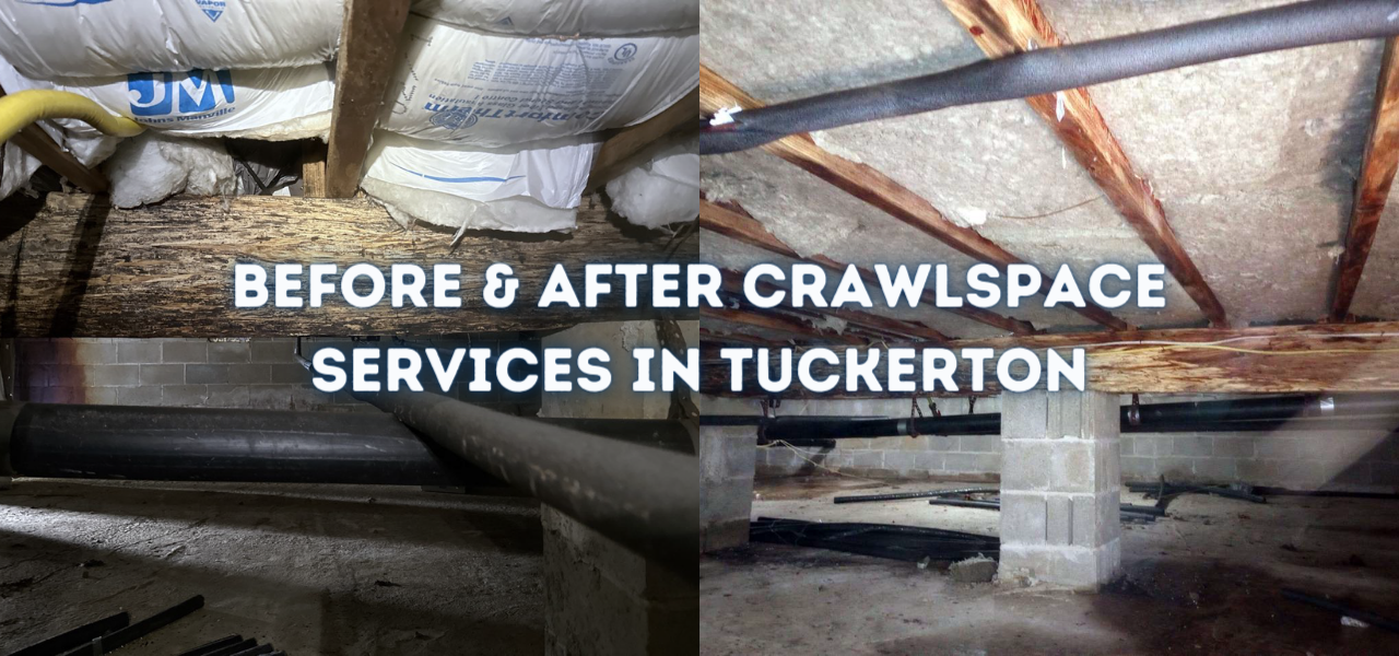 before and after tuckerton crawlspace services