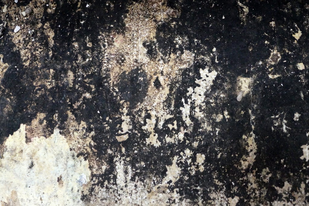 mold growth on crawlspace walls due to poor indoor air quality