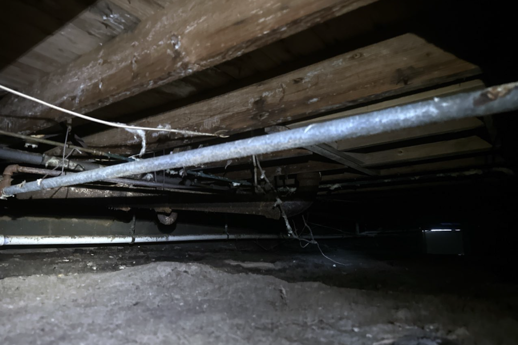 before seaside heights crawlspace services