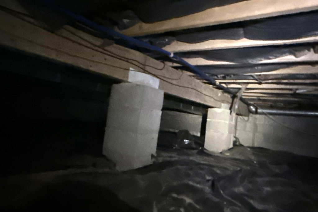 before island heights crawlspace services