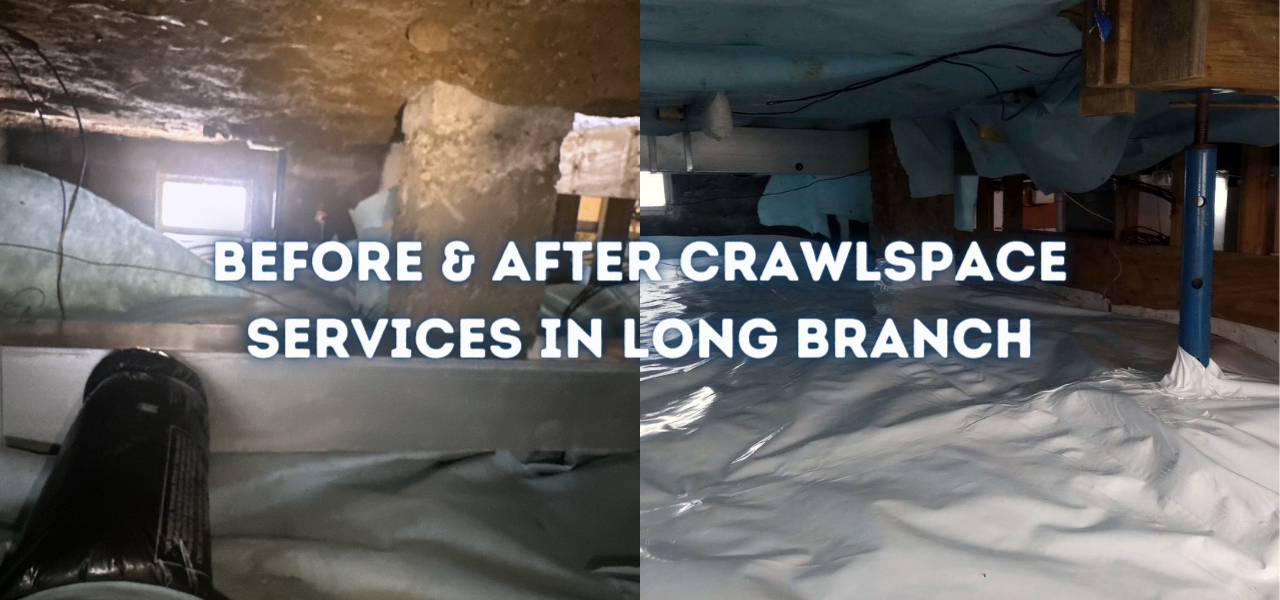 long branch crawlspace services