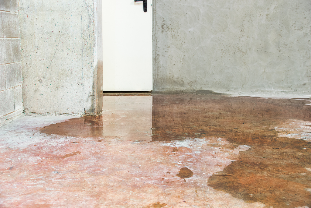 Signs of Water Damage in Your Basement What to Look Out For