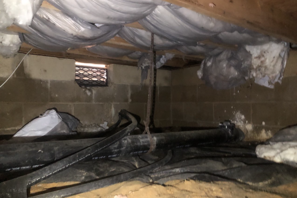 before whiting crawlspace services