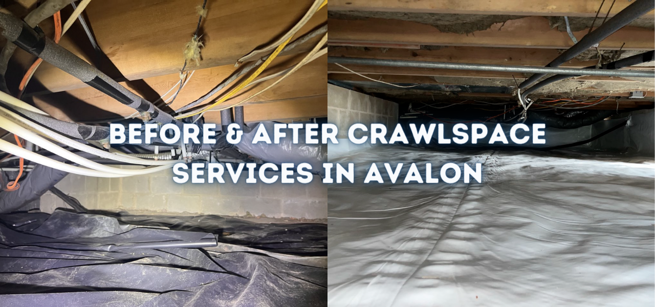 before and after avalon crawlspace services