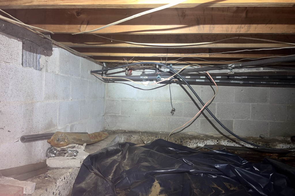 before crawlspace services in mamora new jersey