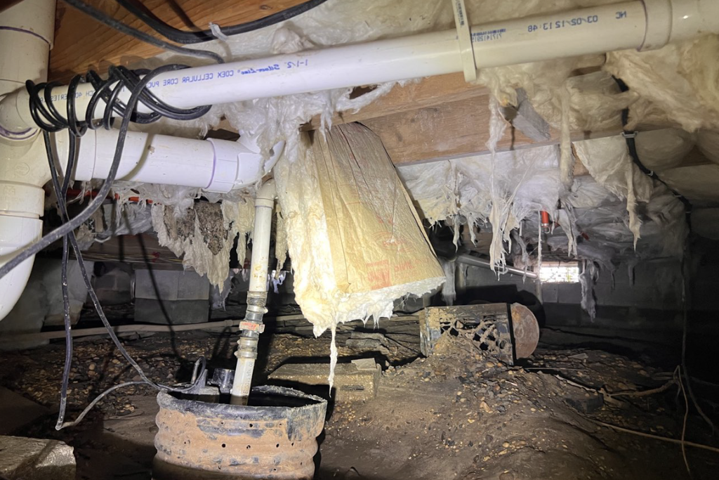 before crawlspace services in toms river new jersey