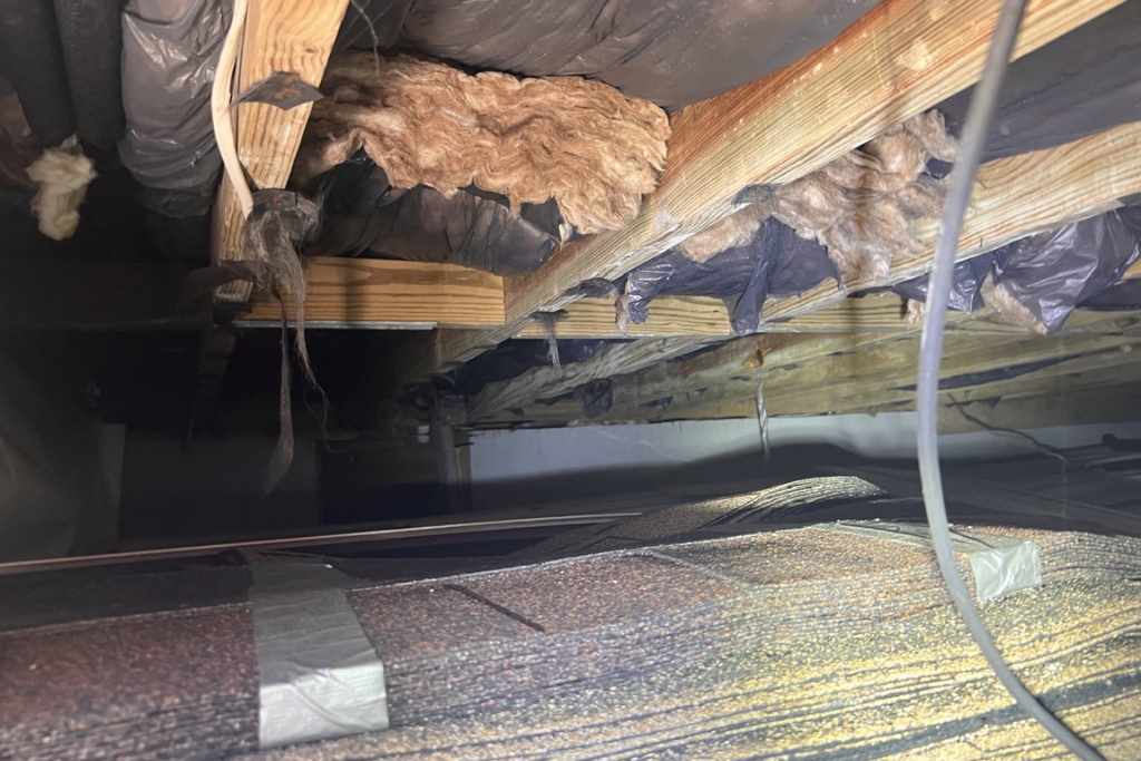 before crawlspace services in berkeley township