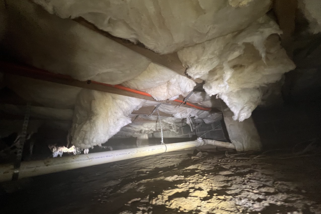 before crawlspace services in toms river new jersey