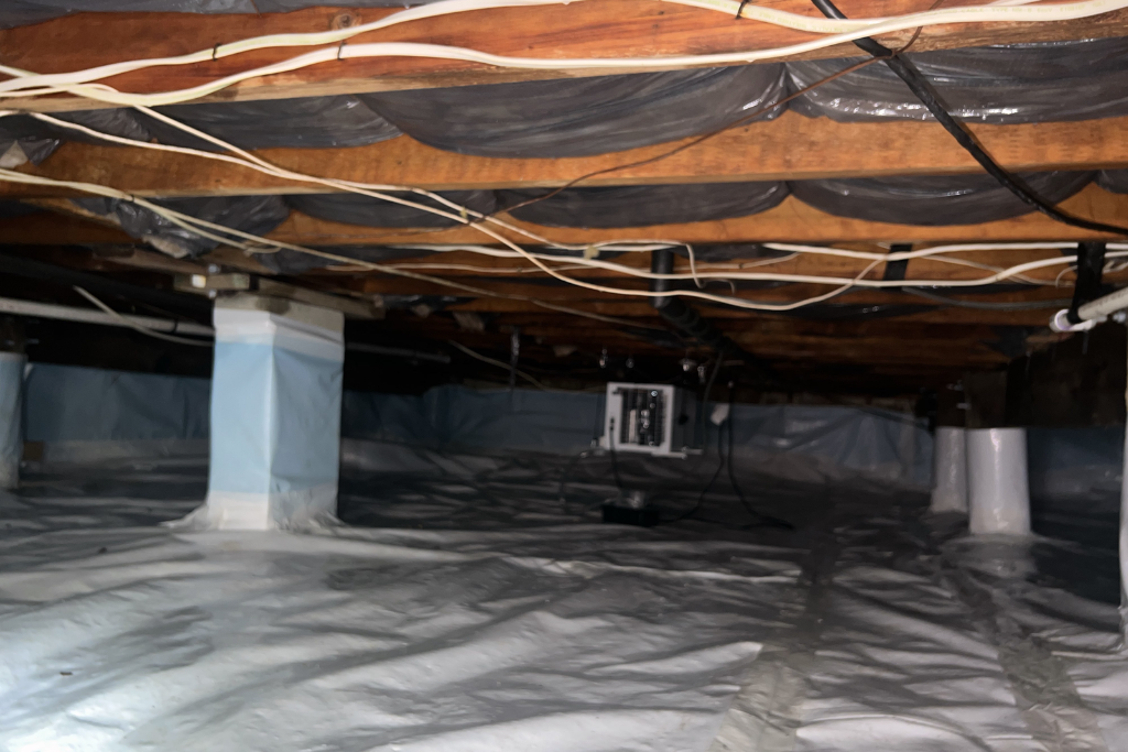 after crawlspace services in berkeley township