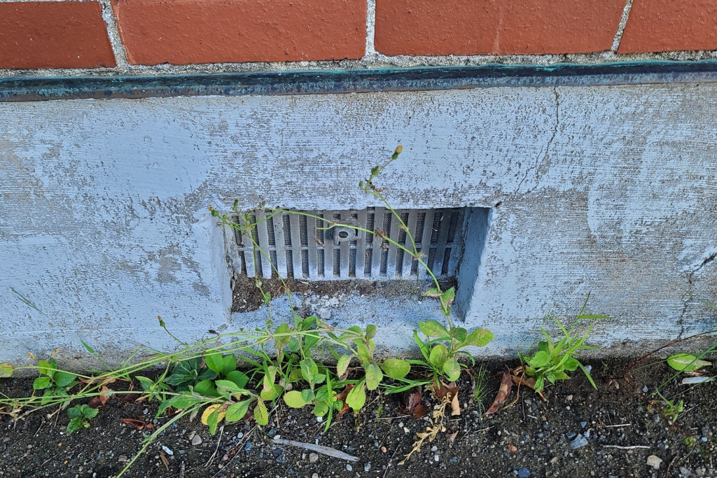 the connection between poor crawlspace ventilation and pest infestations
