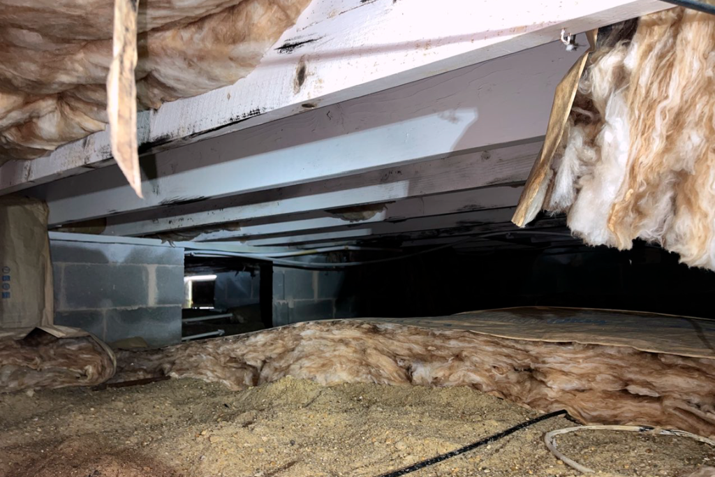 before ocean city new jersey crawlspace services