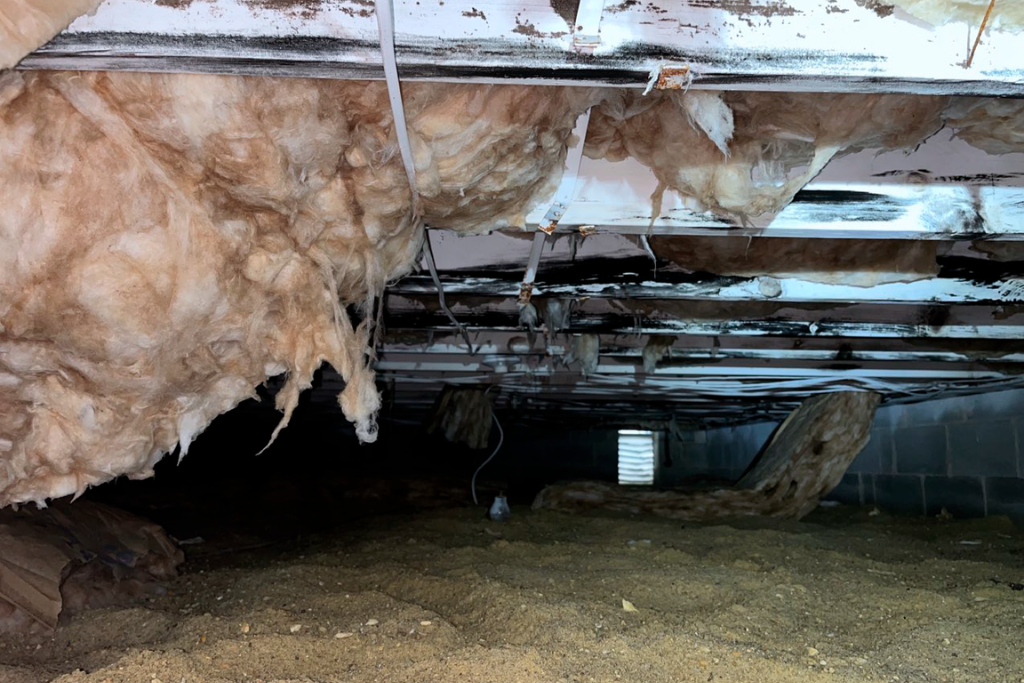 before ocean city new jersey crawlspace services