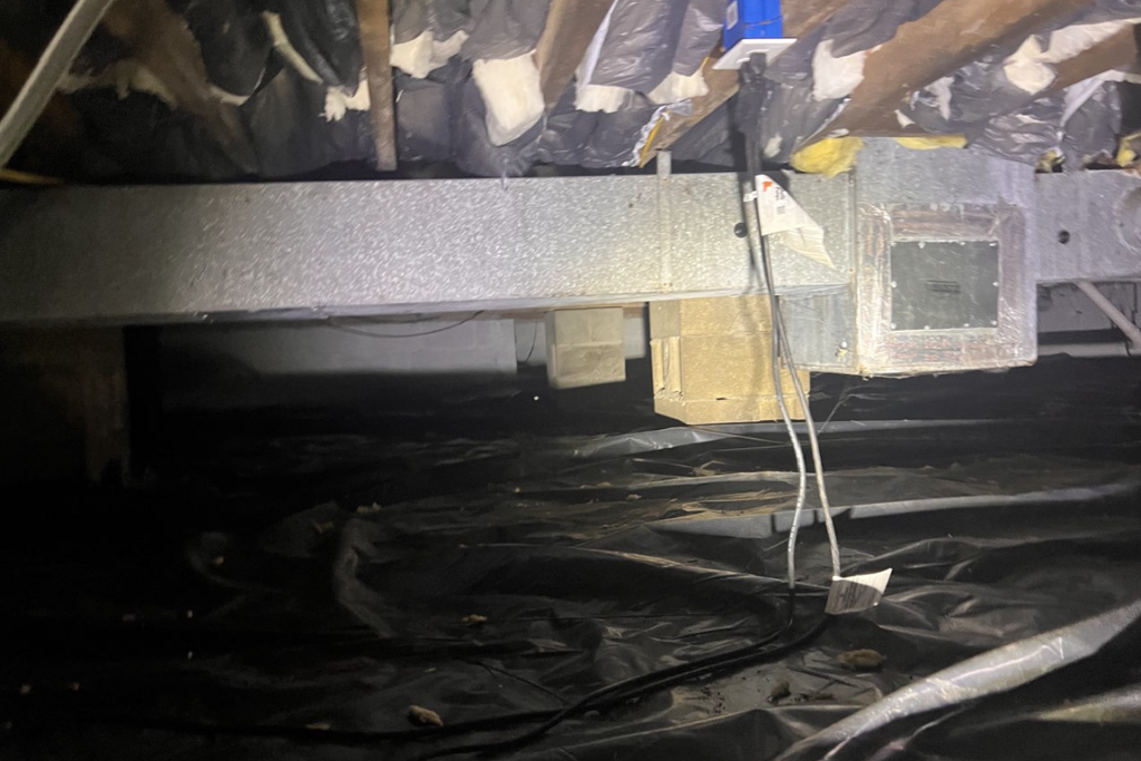 before manahawkin crawlspace services