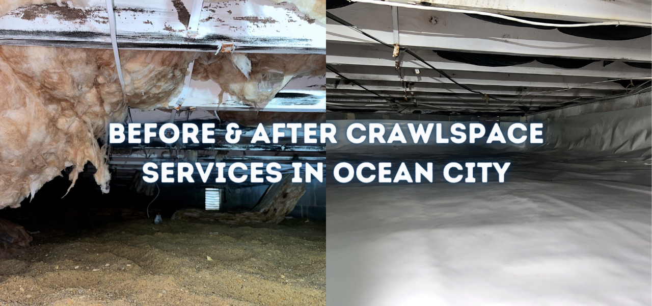 before and after crawlspace services in ocean city, new jersey