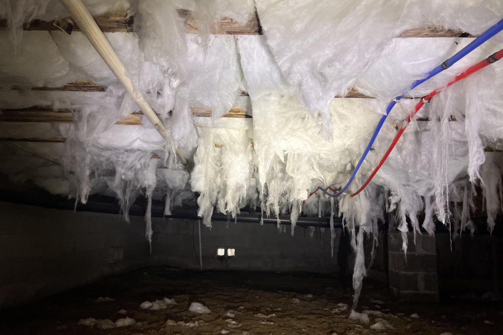 before brigantine crawlspace services and transformation