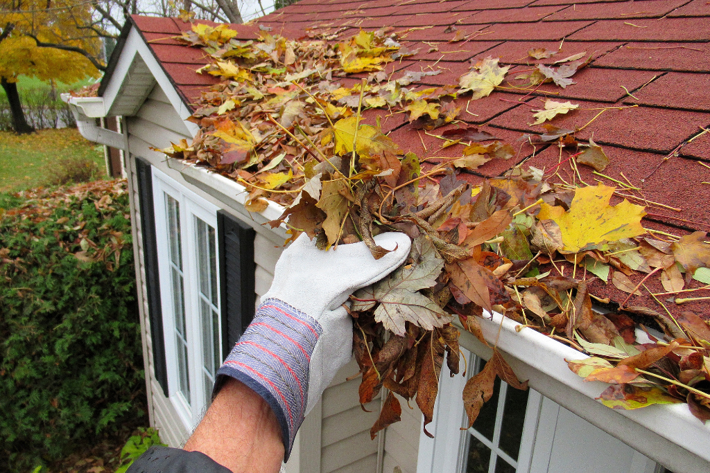 removing leaves from gutters as part of fall attic care