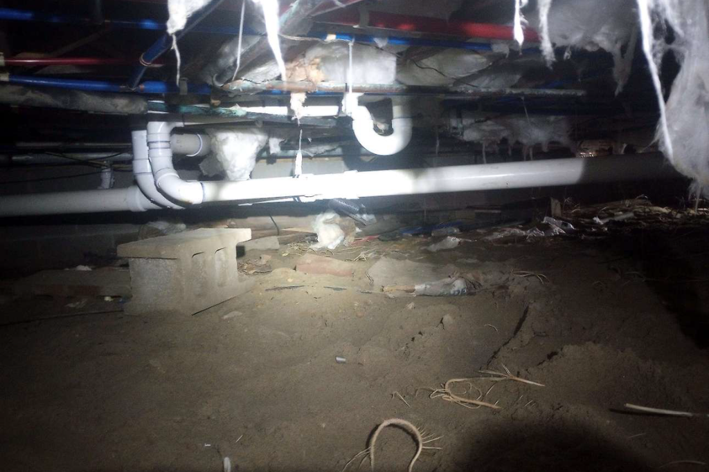 before lavallette crawlspace services