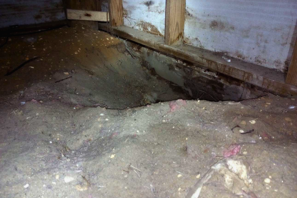 before seaside heights crawlspace services