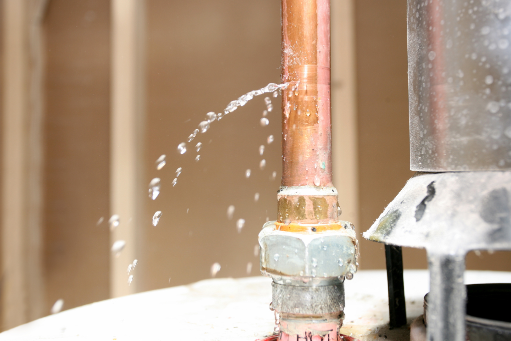 pipe leak that needs to be fixed for pest prevention