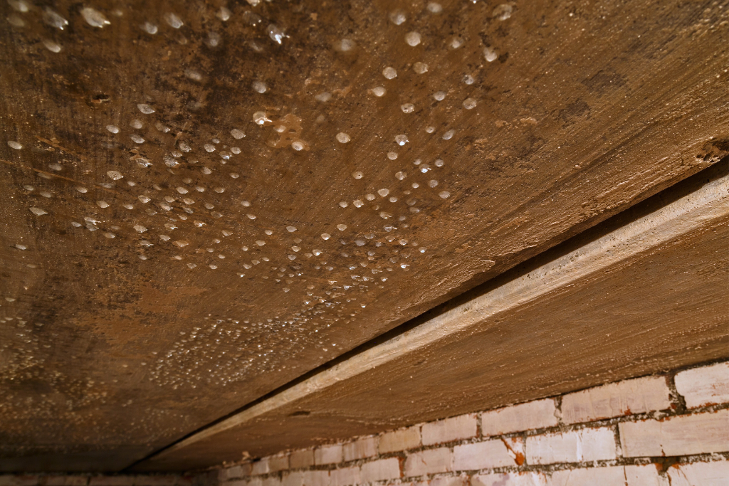 condensation issues on crawlspace ceiling during winter