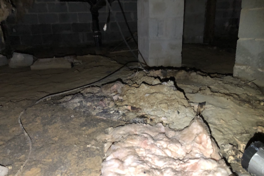 before brigantine crawlspace services