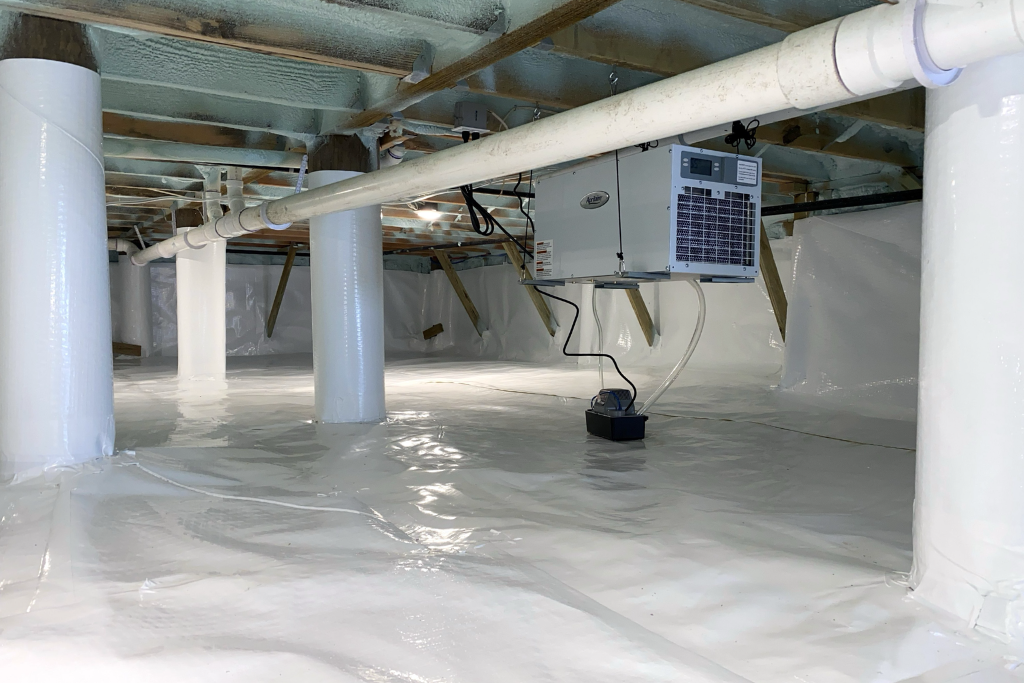 dehumidifier and vapor barrier in crawlspace for moisture management preparation