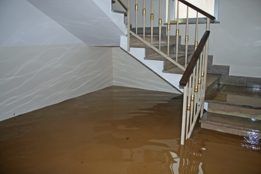 set of stairs leading into basement with emergency flooding