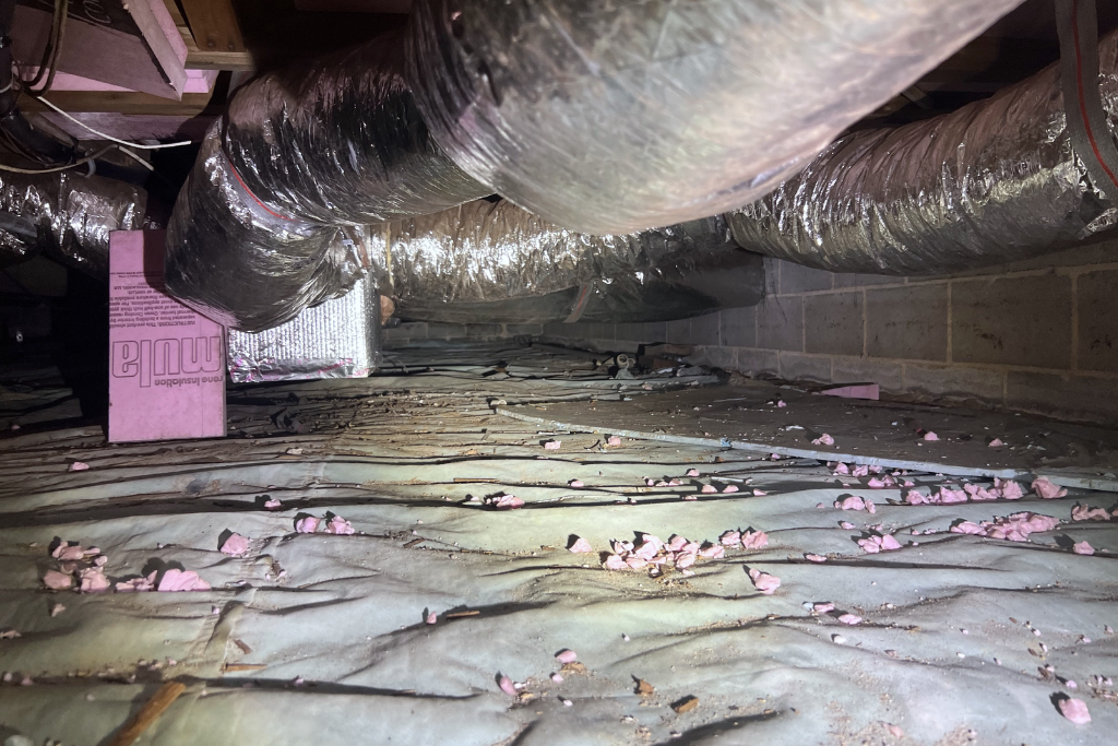 before little egg harbor crawlspace services