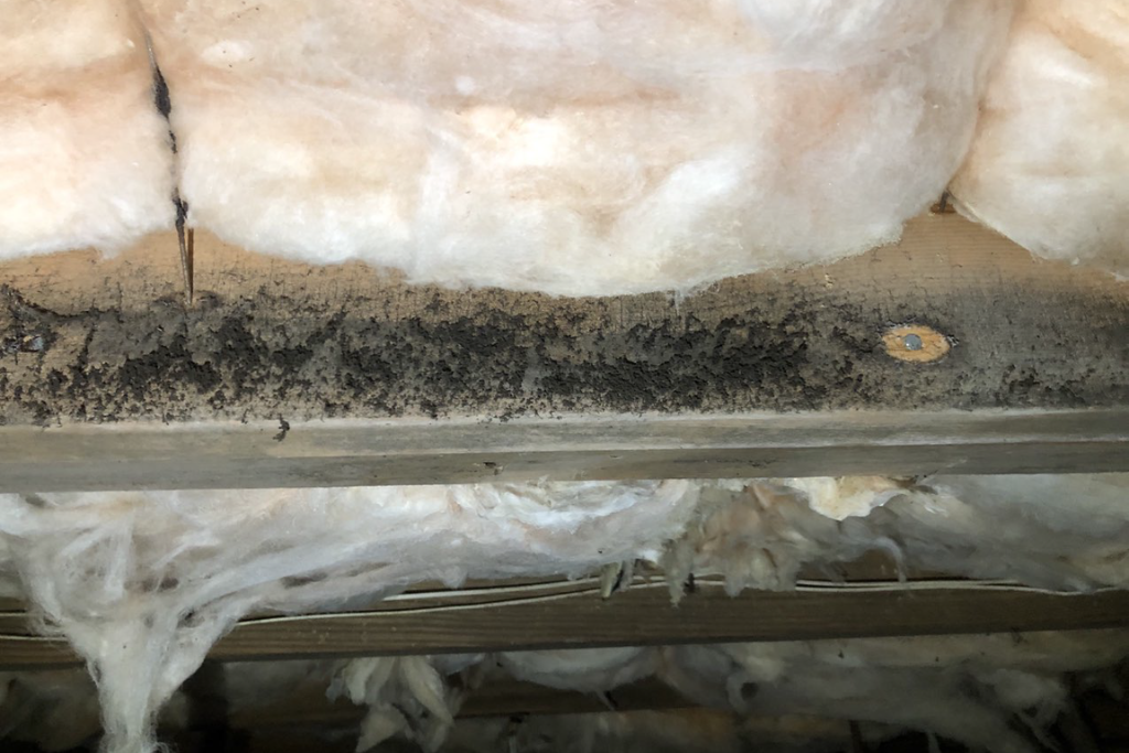 before brigantine crawlspace services